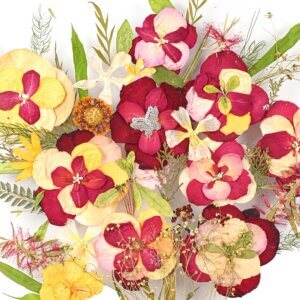 Multi Roses Peacock Feather Bouquet in real Colors with Silk Bow and Silver Stone Butterfly in Brown Frame 18*24