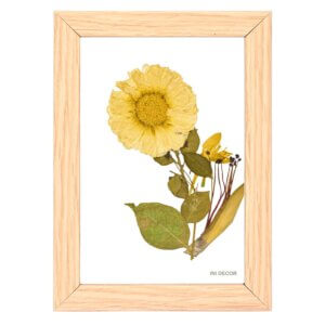 White Marigold Flower with Bombax Ceiba Wall Frame 4*6