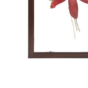 Bombax Cebia Wall Frame 8*12
