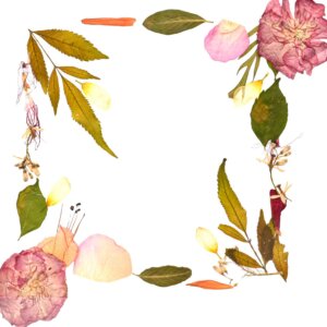Bombax Ceiba Pink Narium Oleander Customizable Table Top 8 *8