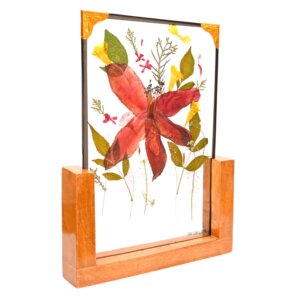 Bombax Yellow Elder Jatropha Red Table Top 8*12
