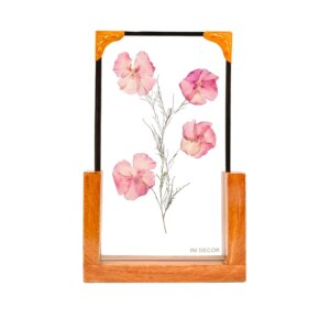 Nerium Oleander Table Top 6*10
