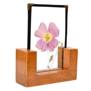 Pressed Hollyhock Table Top 4*6
