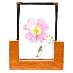 Pressed Hollyhock Table Top 4*6