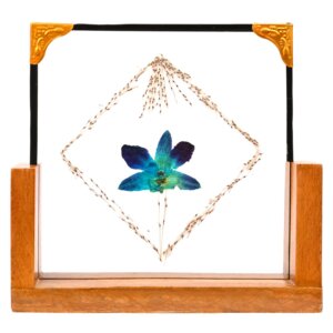 Blue Orchid with Wheat Bran Table Top 8*8