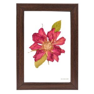Red Rose Wall Frame 4*6