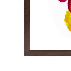 Rose With Yellow Elder Wall Frame 6*10