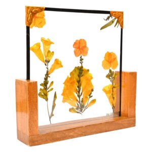 Yellow Elder Table Top 8*8